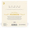 D'addario Ej82b "rio Abaixo and Meia Guitarra Brasileira" violos komplektas