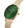 Daniel Wellington Petite laikrodis 28 mm dvigubo padengimo nerūdijantis plienas (316l) aukso spalvos, žalios spalvos, moderni klasika