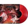 Vinilinė plokštelė Dawn of Possession (perleidimas)