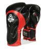 Dbx Bushido Bokso pirštinės Muay Thai Kickboxing odinės sparingo 12 oz