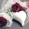Deko As Gmbh Sizoweb stalo takelis šviesus 30 cm ritinys 25 m – 64 034 R 300