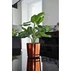 Dekoratyvinė oranžinė blizgi 14 cm gėlių vazonas