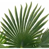 Dirbtinė palmė su vazonu, 70 cm, žalias