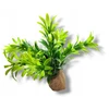 Dirbtinis augalas ant akmens Stoneplant Typ 15 Terraquality