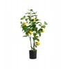 Dirbtinis augalas Citrus su citrinomis 75 cm Homla