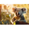 Edition Seidel Premium kalendorius Koalos 2025 formatas Din A4 sieninis kalendorius gyvūnų kalendorius Australija koala lokys žinduolis eukalipto miškas