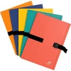 Elba Clip 'n' Go segtuvas A4 kartonas A4 A4 (21 x 29,7 cm) įvairių spalvų