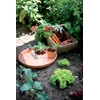 Elho Žalias Basics vazonas - mild terra 53 cm