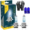 Elta H7 12v 55w Px26d Visionpro 5000k +50% homologuotos baltos lemputės + W5w