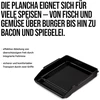 Enders Plancha grilio plokštė, emaliuotas ketus, optimalus šilumos sulaikymas ir paskirstymas, integruotas riebalų kanalas, aukštas kraštas, reguliuojamos kojelės, šoninės rankenos, 1100 cm² grilio paviršius #7780