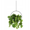 Esschert Design pakabinamas gėlių vazonas lovelis, juodas, loft stiliaus, modernus, Py148