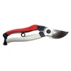 Euroflora Okatsune 103 Precauter