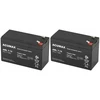 Europower Rbc161 akumuliatorių komplektas, baterijų paketas ups apc 2x aml 7-12