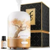 Fashome aromaterapinis difuzorius, rankų darbo stiklinis difuzorius eteriniams aliejams, automatinis išjungimas, šilta šviesa, vintažinė aromaterapija kūdikiams, namams, biurui ar jogai (autumn Frankincense)