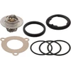 Febi bilstein 38708 termostatas su tarpinėmis, vienas vienetas pakuotėje