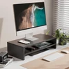 Laikiklis Fitueyes 2 pakopų monitoriaus stovas 54x25.5 cm su laikymo vieta