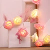 Fohil Led Rose Girlianda Baterijomis, 3m, 20 Led, Rožinė/šilta Balta