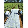 F&r pavasarinė dengiamoji balta agroplėvelė 21 g/m² 1,6x20 m