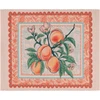 Rankšluostis Furn. Anemone Peaches padėkliukas vidaus/lauko naudojimui - įvairiaspalvis - 46 x 36 cm
