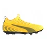 Futbolo bateliai Puma One 20.2 Hg, dydis 41