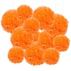 Gaka Favor 12 vienetų popierinių pomponų rinkinys, oranžinė popierinė pakabinama dekoracija vestuvėms, krikštynoms, gimtadieniui, komunijai, valentino dienai, motinos dienos vakarėlio dekoracija