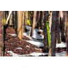 Garden-label.pl sodo etiketės kilpa surišamos 25 mm x 25 mm 25x250 oranžinės 2000 vnt.