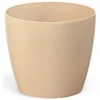 Gėlinė Magnolia 30cm, bežinė, blizgi, plastikinė