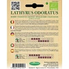 Germisem kvapusis pelėžirnis Lathyrus Odoratus, Ecbio1541