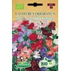 Germisem kvapusis pelėžirnis Lathyrus Odoratus, Ecbio1541