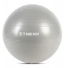 Gimnastikos kamuolys Trexo Txo-b4z008-gy 65 cm pilkas