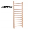 Gimnastikos treniruočių kopėčios 230 cm x 90 cm