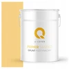 Gruntas silikoniniam tinkui, geltonos spalvos F645, 15 kg, lenkiškas produktas