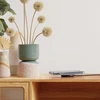 Hama magnetinis belaidis qi įkroviklis 15 w (qi2 sertifikuotas įkroviklis, qi įkrovimo padėklas greitas belaidis įkroviklis, magsafe suderinamas indukcinis kaip mobiliojo telefono įkrovimo stotelė iphone 15/14/13/12/airpods ir kt.)