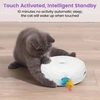 Happy Hachi elektrinis žaislas katėms, interaktyvus žaislas su plunksnomis katėms, įkraunamas Usb, tylus išmanusis žaislas, žaislas katėms, savarankiškas užimtumas (orr)