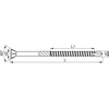 Hobotec Eurotec 3.2 x 50 torx 10 medsraigčiai su dekoratyvine galvute, grūdintas nerūdijantis plienas, juodi, 500 vnt.