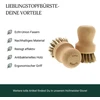 Hofmeister® puodų šepetys, 8 cm, pašalina stiprius nešvarumus nuo puodų ir keptuvių, apsaugo nelimpančią dangą, karščiui atsparūs pluoštai, indų plovimo šepetys pagamintas iš europinio buko medienos