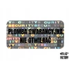 Holograminė lipduko plomba 20x10 mm - Jūsų spauda! 250 vnt.