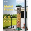 Iborn metalinis lesyklėlė žemės riešutams ir saulėgrąžų sėkloms - pakabinama lesyklėlė laukiniams paukščiams, tokiems kaip geniai, zylės, riešutinės, pilkosios zylės ir kėkštai, 35 cm, žalia