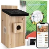 Inkilo dėžutė su kamera 1080p hd smart indoor hanging bird house wi-fi laukiniams sodo paukščiams