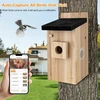 Inkilo dėžutė su kamera 1080p hd smart indoor hanging bird house wi-fi laukiniams sodo paukščiams