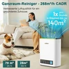 Jafända oro valytuvas Hepa 13, skirtas alergiškiems žmonėms, kambario oro valytuvas su aromaterapiniu difuzoriumi ir aktyvintos anglies filtru, pašalina 99,97% pelėsių, dulkių, žiedadulkių, oro valytuvas Cadr 268 m³/h (auksinis)