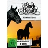Vinilinė plokštelė Juodas Beauty - pilnas komplektas [8 Dvd]