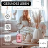 Kazis® I katalitinė kvapų lempa I stiklas I Xxl I 400 ml (rožinė)