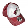 Kepuraitė su snapeliu Reebok jaunimo Arizona Coyotes