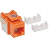 Keystone Cat6 Utp Rj45 užspaudžiamas modulis, oranžinis