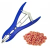 Kiaulių kastravimo rinkinys elastatorius + 100 gumelių