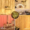 Kimuwote vidaus šviesos užuolaida, 3 x 3 m, 300 Led girlianda, Usb Led girlianda su 8 režimais, girlianda Kalėdoms, langui, sienai, kambariui, vakarėliui, dekoracijai, užuolaida