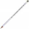 Koor Wood Pieštukiniai kreidelės Koh-i-noor Polycolor Šaltos pilkos spalvos 12 vnt.