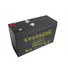 Koyosonic Vrla Agm Np7-12 7ah 12v 2.2kg akumuliatorius valtims, žaislams, Ups
