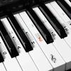 Kwmobile pianino klaviatūros natų lipdukas, skirtas 49 61 76 88 klavišų instrumentams, skaidrus vinilo pianino lipdukas baltiems klavišams su instrukcijomis (anglų kalba negarantuojama)